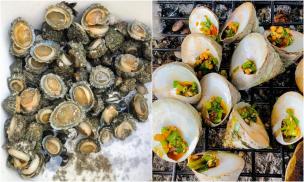 Loài ốc nghe tên giống một 'bộ phận nhạy cảm' lại là đặc sản Côn Đảo, hiếm hơn cả bào ngư, dân sành ăn vẫn tranh nhau truy lùng
