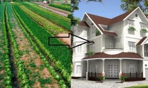 Quy định mới với người sắp chuyển đất nông nghiệp thành đất ở, cần hết sức lưu ý!