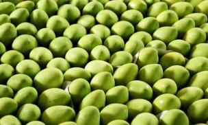 Loại quả của Việt Nam khiến cựu Đại sứ Hoa Kỳ phải xuýt xoa khen ngợi 'ngon nhất thế giới': Trung Quốc tăng nhập khẩu