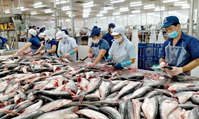 Sản vật tỷ đô giúp Việt Nam trở thành ông trùm của thế giới: Thu về hơn 42 nghìn tỷ đồng trong 9 tháng đầu năm, hơn 140 quốc gia đang săn hàng