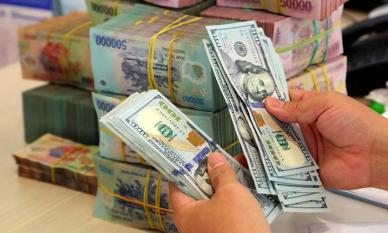 Mua bán ngoại tệ cần đặc biệt chú ý, không cẩn thận vừa bị tịch thu tiền, lại phạt đến cả trăm triệu đồng