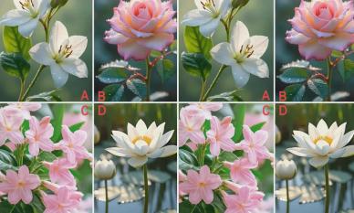 Quiz: Bạn thích loài hoa nào? Xem bạn sẽ là một bà nội trợ tiều tụy hay một tiểu thư giàu có?