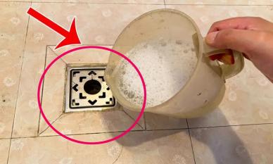 Có côn trùng bay nhỏ trong phòng tắm nhà bạn? Dưới đây là mẹo giúp bạn tiêu diệt tất cả chỉ với một lần xả nước, đồng thời ngăn ngừa mùi hôi