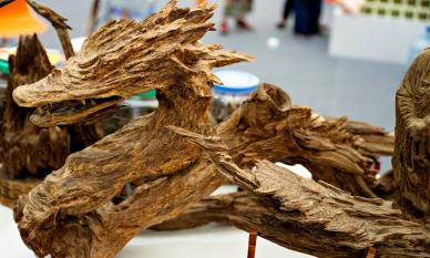 'Khối gỗ' hình rồng ở Hà Nội được trả giá 700 triệu đồng: Vì sao chủ nhân không bán?