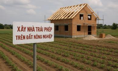 Từ nay, xây nhà trên đất nông nghiệp sẽ bị phạt rất nặng, có thể lên tới 400 triệu đồng
