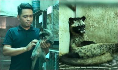 Chàng trai Nghệ An thu tiền tỉ mỗi năm nhờ nuôi loài 'ăn đêm, đẻ khỏe'