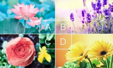 Hãy làm bài kiểm tra tâm lý cực kỳ chính xác này: Chọn loài hoa yêu thích để tìm hiểu ấn xem bạn tạo tượng gì cho người khác? 
