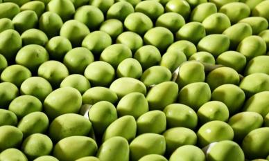 Loại quả của Việt Nam khiến cựu Đại sứ Hoa Kỳ phải xuýt xoa khen ngợi 'ngon nhất thế giới': Trung Quốc tăng nhập khẩu