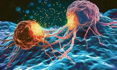 Nghiên cứu sáng tạo của Nhật Bản: Hy vọng mới cho việc điều trị ung thư