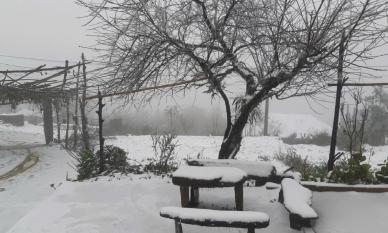 Băng giá xuất hiện tại Lào Cai