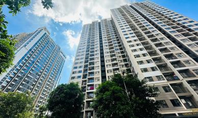 Bất ngờ với dự báo diễn biến về giá chung cư năm 2026 ở thị trường Hà Nội và TP.HCM 