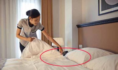 Sau khi nhận phòng khách sạn, nếu thấy trên giường có vật này thì nên thương lượng với lễ tân để trả phòng ngay