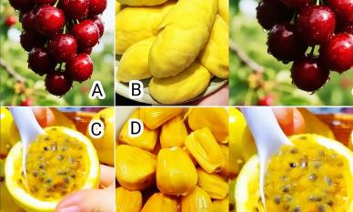 Bài kiểm tra tâm lý: Hãy đến và khám phá những điều tốt đẹp sẽ xảy ra với bạn trong mùa đông này