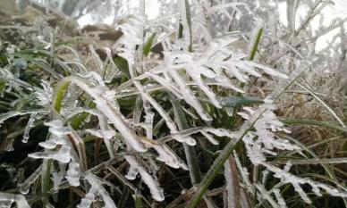 Thời tiết ngày 27/11: Miền Bắc có nơi dưới 7 độ C; Bão số 15 tăng cấp