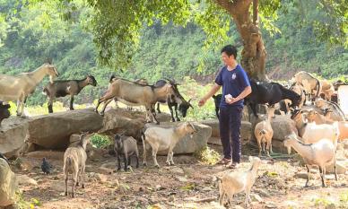 Nghề như 'cướp' ra tiền, không cần bằng cấp: Làm 1 tháng sống khỏe 2 năm, nhưng không ai chịu làm