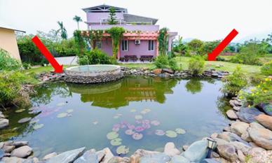 Ao phong thủy trước nhà là tốt hay xấu? Đọc xong để biết nên để hay lấp vội