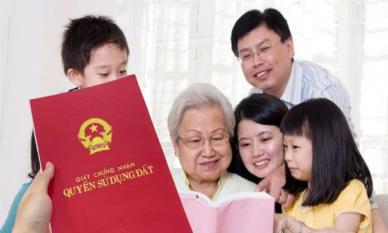Sổ đỏ hộ gia đình: Con dâu từng đóng góp tiền sửa nhà có được chia thừa kế không?