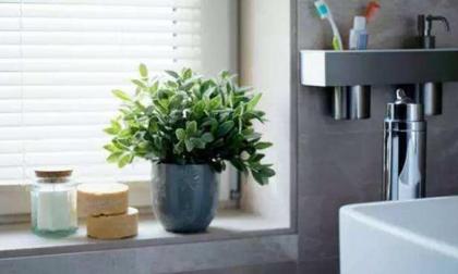 Không nên đặt những thứ này trong phòng tắm, dù chỉ có một thứ cũng không tốt cho sức khỏe