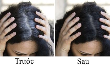 Cách để loại bỏ tóc bạc và 6 mẹo giúp chị em ngày càng trẻ đẹp, thăng hạng nhan sắc 
