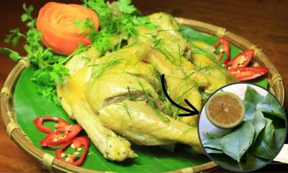 Vì sao thịt gà phải ăn cùng lá chanh chứ không phải bất cứ loại lá nào khác? Không chỉ bày cho đẹp mà còn có lợi ích bất ngờ