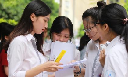 Đây sẽ là ngành học 'soán ngôi' công nghệ, ra trường làm 'sếp' công việc ổn định đáng mơ ước 