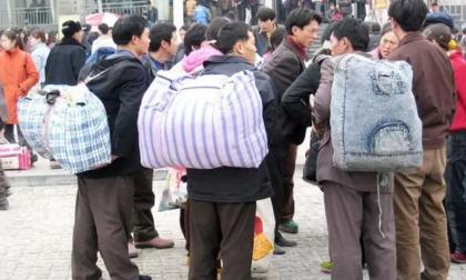 Trong 10 năm tới, 5 ngành nghề này sẽ phổ biến nhất và là hướng tìm việc làm tốt nhất