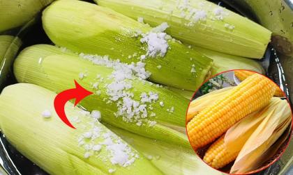 Luộc ngô chỉ cho mỗi nước là chưa đủ, thêm 2 thứ nữa ngô vừa ngọt lại dẻo mềm, thơm ngon