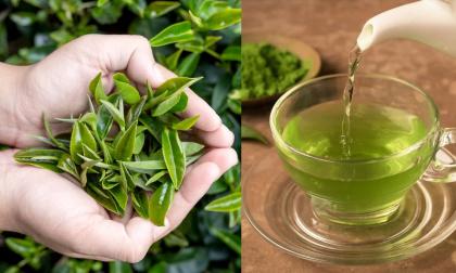 Loạt thực phẩm 'khắc tinh' của mỡ máu, ở Việt Nam chợ nào cũng có