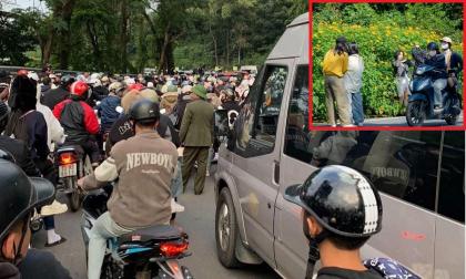 Hơn 13.000 du khách đổ xô tới Vườn quốc gia Ba Vì ngắm hoa dã quỳ chỉ trong buổi sáng, gây ùn tắc kéo dài 