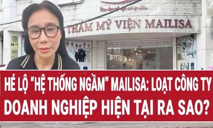 Vén màn bí ẩn 'hệ sinh thái Mailisa' tạo doanh thu nghìn tỷ cho vợ chồng bà Phan Thị Mai và ông Hoàng Kim Khánh