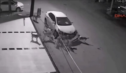 Đàn chó hung dữ phá nát xe ô tô 4 chỗ đỗ bên đường