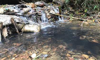 NÓNG: Khởi tố vụ án đổ dầu thải gây sự cố nước sạch sông Đà