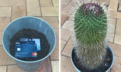 10 chỗ giấu đồ giá trị trong gia đình chỉ thiên tài mới nghĩ ra, giúp đánh lừa bất cứ tên trộm nào