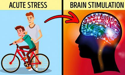 Hóa ra có nhiều loại căng thẳng khác nhau và một trong số đó lại tốt cho bạn