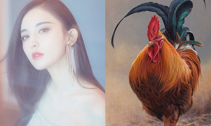 Kể từ tháng 11 dương lịch, 3 con giáp này bị vận đen bủa vây, tài lộc tiêu tán