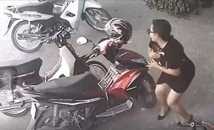 Gái xinh kẹp mèo vào trong váy rồi trèo lên xe chuồn thẳng gây bức xúc