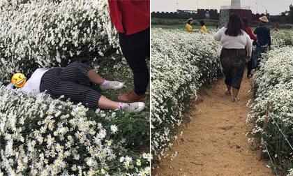 Cô nàng 'đè bẹp' cả một vùng cúc họa mi: Nam giới chê không tiếc lời, phái nữ lại bênh vực