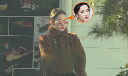 Mặc kín như bưng, 'Thần tiên tỷ tỷ' Lưu Diệc Phi vẫn khí chất ngời ngời với làn da trắng bật tông