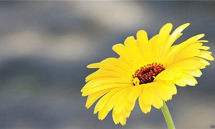 3 điều tuyệt đối không nên nói với người khác dù thân đến mấy