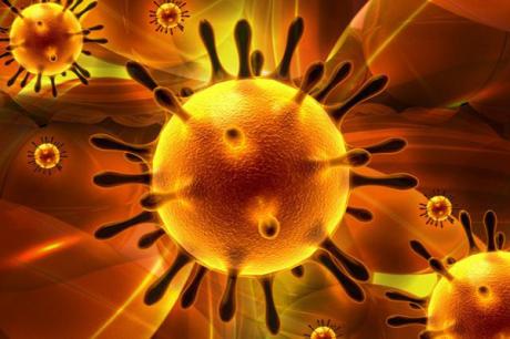 Virus corona là gì?