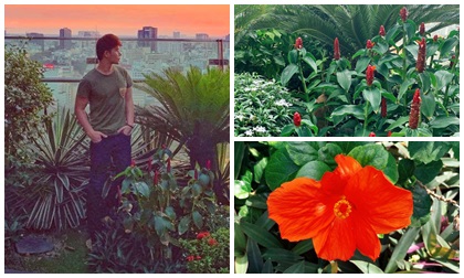 Khu vườn ngập tràn hoa và cây xanh trong căn villa trên không trị giá hơn 70 tỷ đồng của Nathan Lee