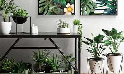 Cho dù ngôi nhà nhỏ đến đâu, bạn vẫn có thể tạo những khu vườn nhỏ xinh này!