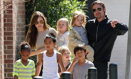 Brad Pitt không chịu nổi phải ly hôn vì Angelina Jolie tiếp tục nhận nuôi người con thứ 7?
