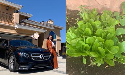 Giàu ngầm cỡ em gái Cẩm Ly - Minh Tuyết vẫn tự tay trồng rau sạch trong biệt thự ở Mỹ