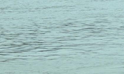 Mẹ ôm 3 con nhảy sông tự tử khiến cả 4 người tử vong