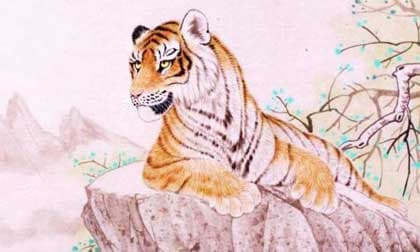 3 con giáp tài trí hơn người, không dễ bị bắt nạt, sau 40 tuổi sự nghiệp và tiền tài thăng hoa rực rỡ 