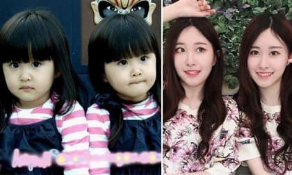 Cặp song sinh từng gây 'sốt' vì xinh đẹp nhất Châu Á, sau 17 năm giờ ra sao?