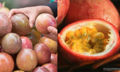 3 cách chọn chanh leo ngon ngọt và nhiều ruột