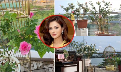 Vườn hồng tuyệt đẹp trong căn biệt thự 1300m2 của vợ chồng Vũ Thu Phương