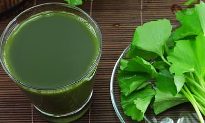 Nước rau má: Cực tốt và cực độc, uống sai cách có thể khiến bạn mất mạng